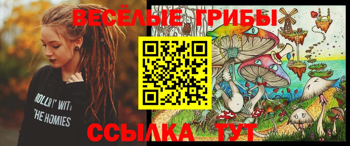 Псилоцибиновые грибы Psilocybe Боровичи
